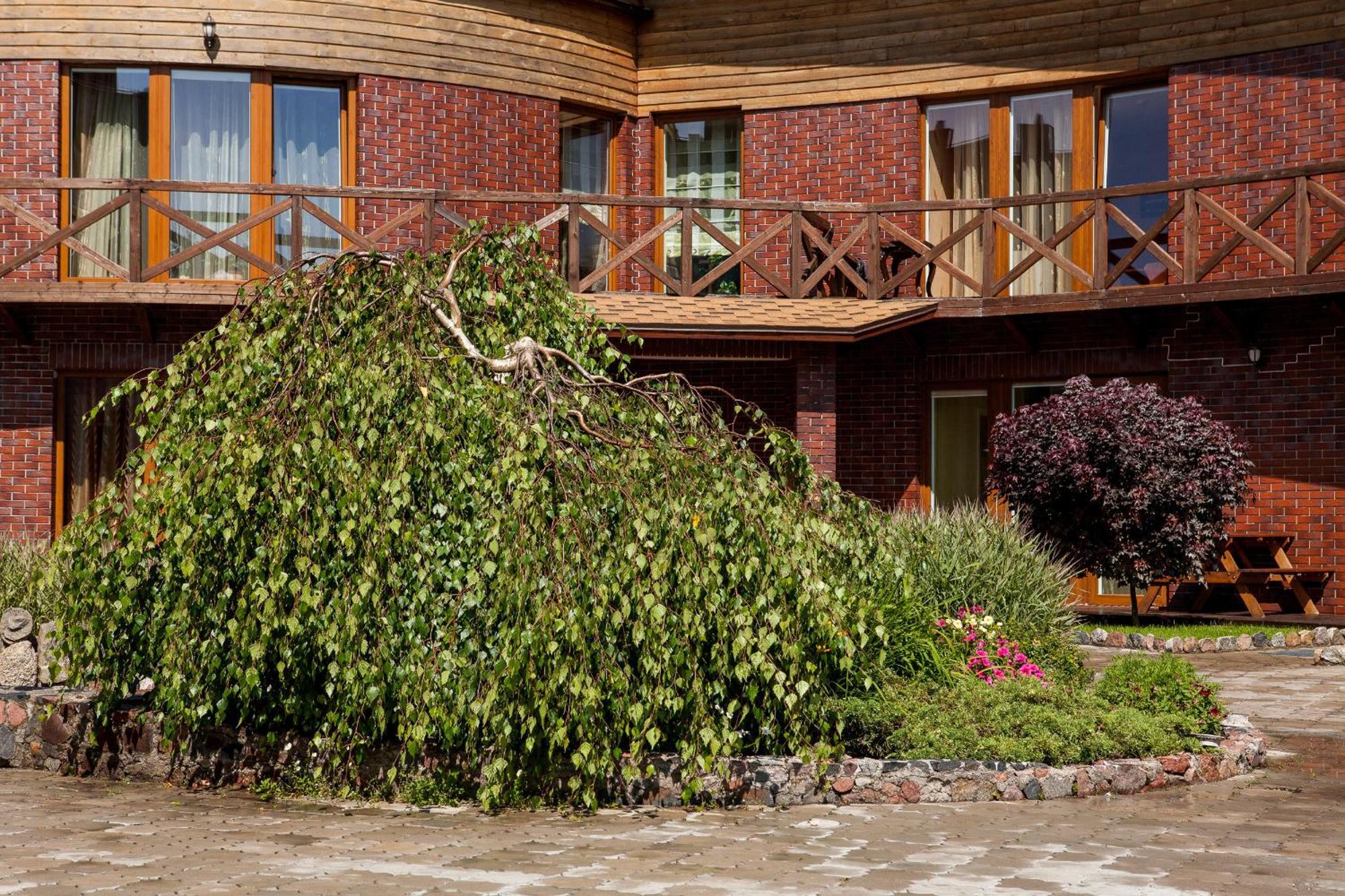 Vila Sraige Palanga Extérieur photo